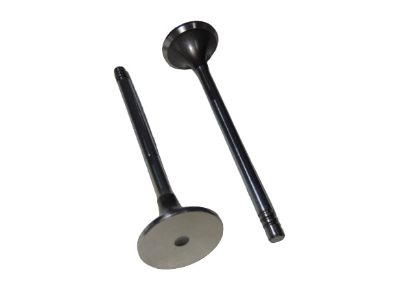 Imagem do produto - VALVULA ESCAPE